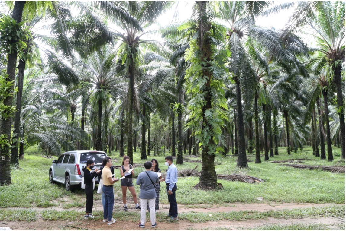 DAAE joins the Training-Workshop on Sustainable Agricultural Production and Food Processing￼